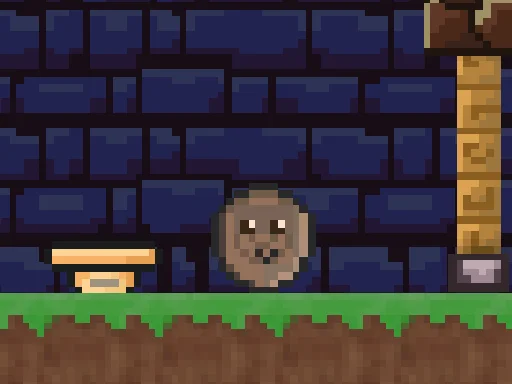 Logus Pocus: Zeka Küpleri!