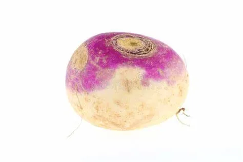 Şalgam Şöleni: Tıklama Krallığı!